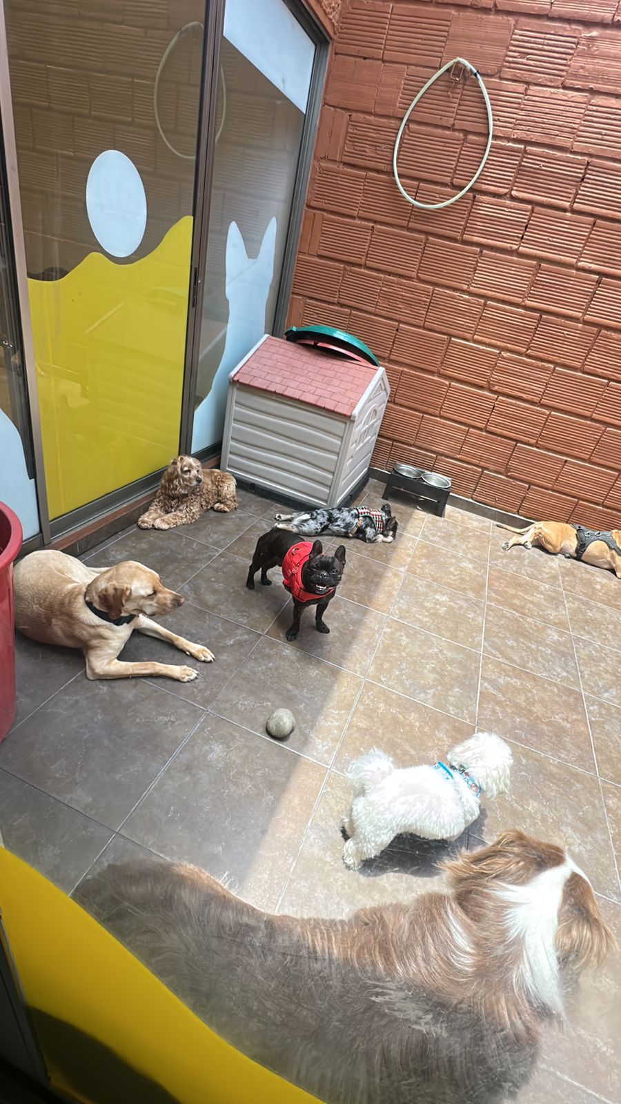 Día en la guardería QDMP