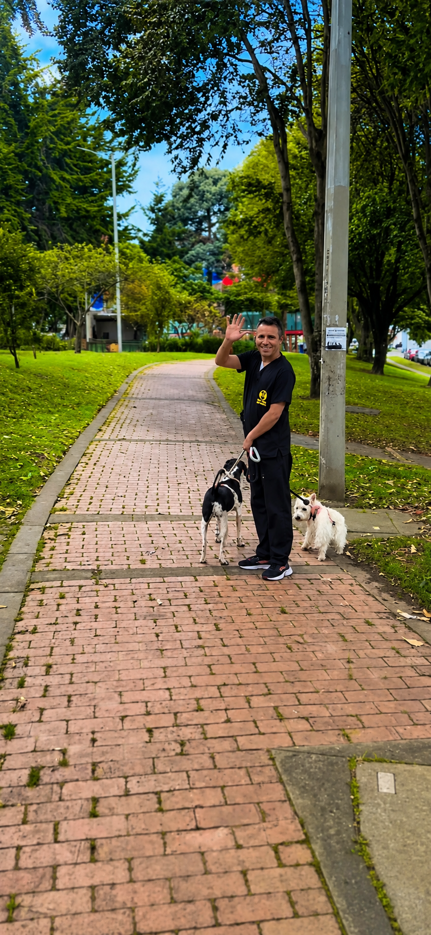 Paseos personalizados