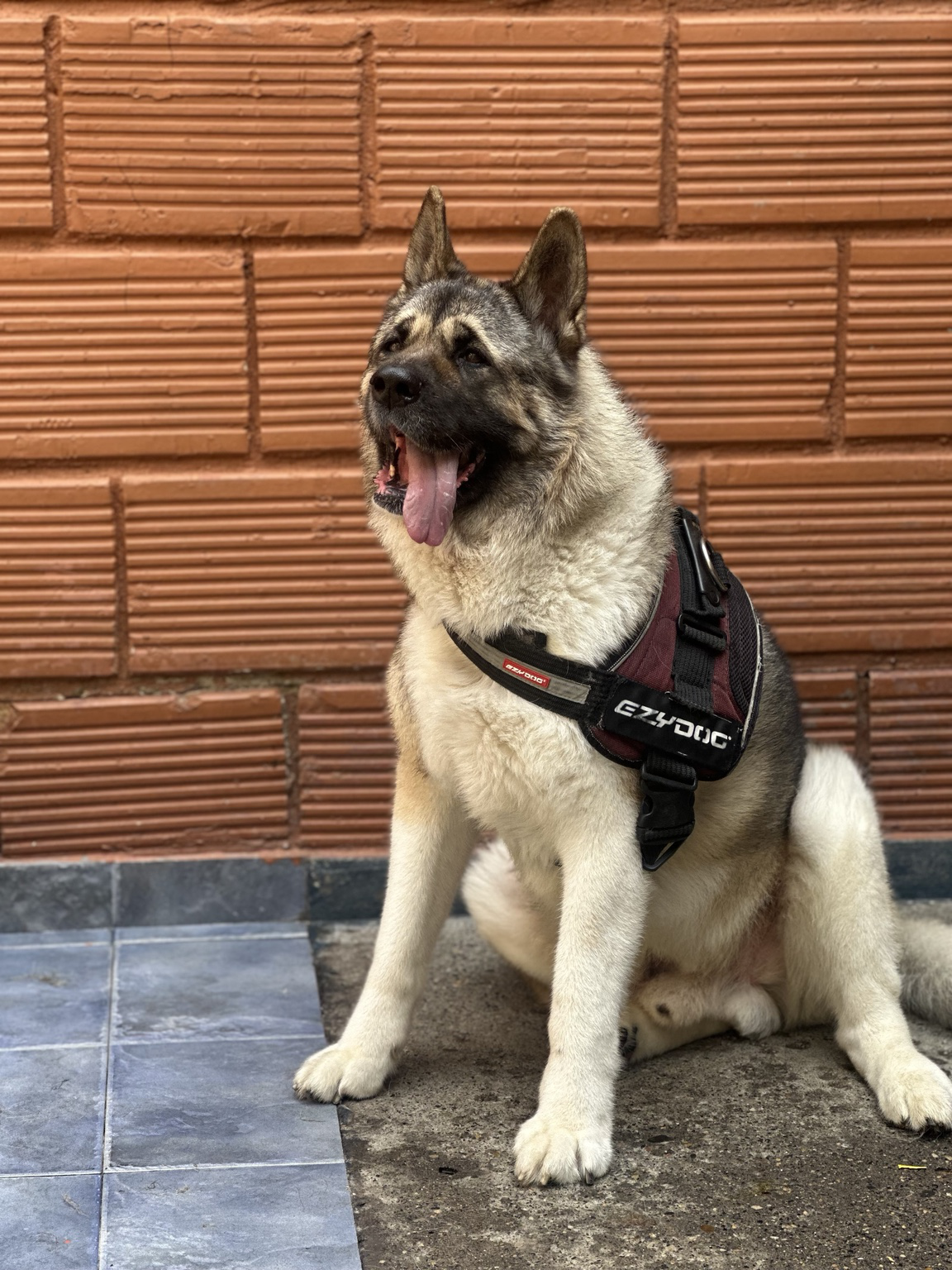 Yuki